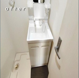 2026031902-takarazuka-wash basin