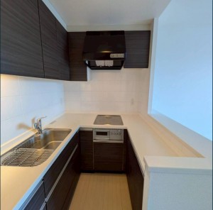 2026032402-osaka-reform-crodd